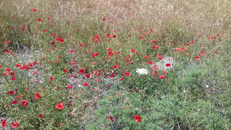 Sifis Pirounakis Anatoli Villa Léntas Buitenkant foto